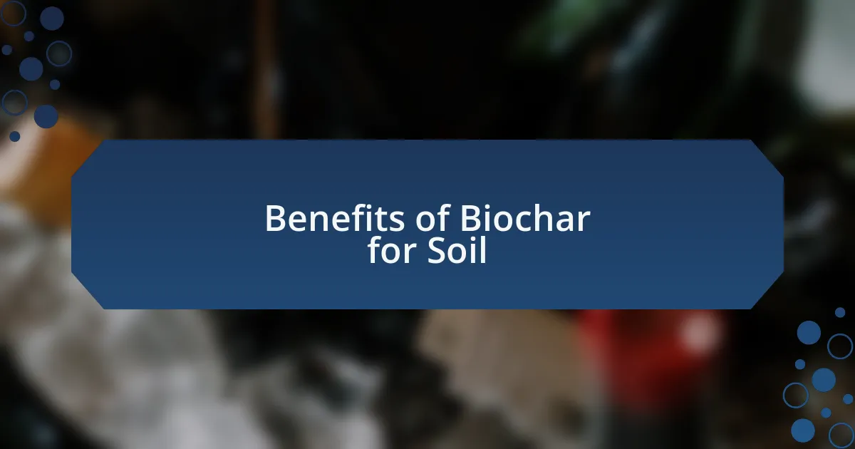 Benefits of Biochar for Soil