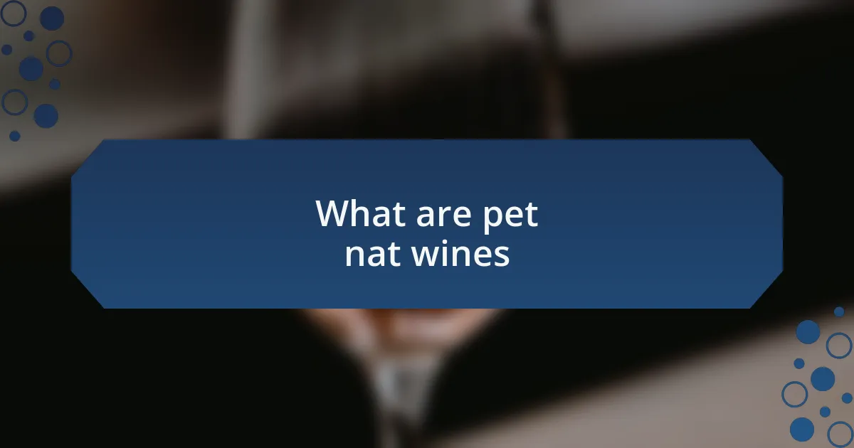 What are pet nat wines