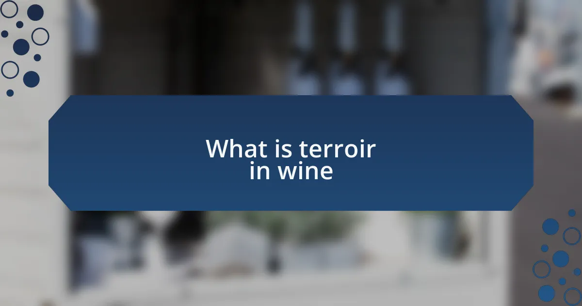 What is terroir in wine